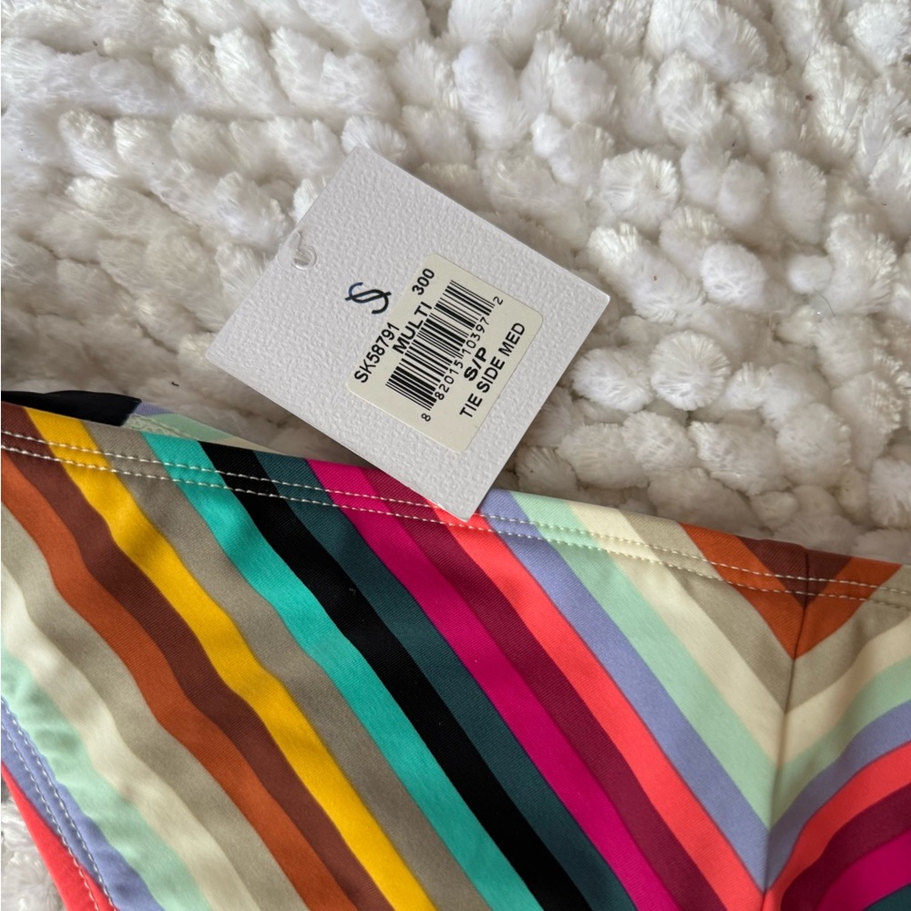 Sky Multicolor Striped Bikini Bottom - image 5